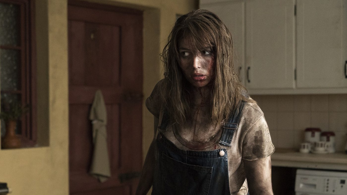 The Hole in the Ground 2019 Review