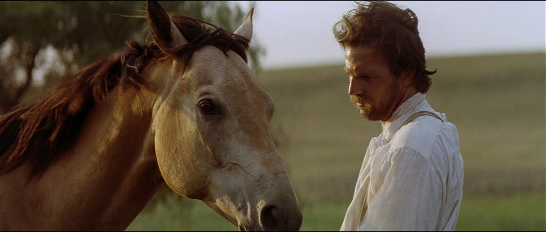 Der mit dem Wolf tanzt (1990)