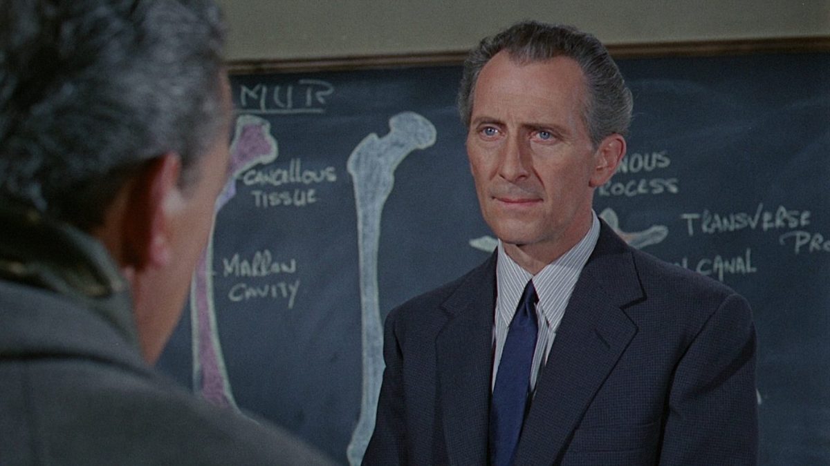 Insel des Schreckens (1966)