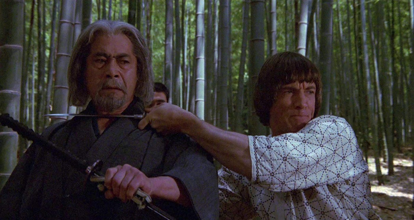 Wenn er in die Hölle will, laß ihn gehen (1982) Filmkritik