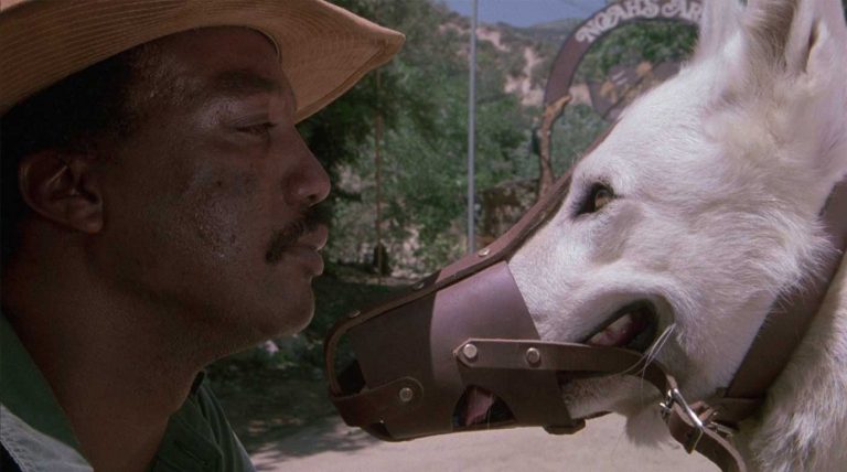 Der Weiße Hund Von Beverly Hills Netflix Eine filmische Zeitreise | Kristy McNichol | Fluxkompensator